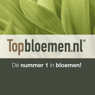 topbloemen.nl